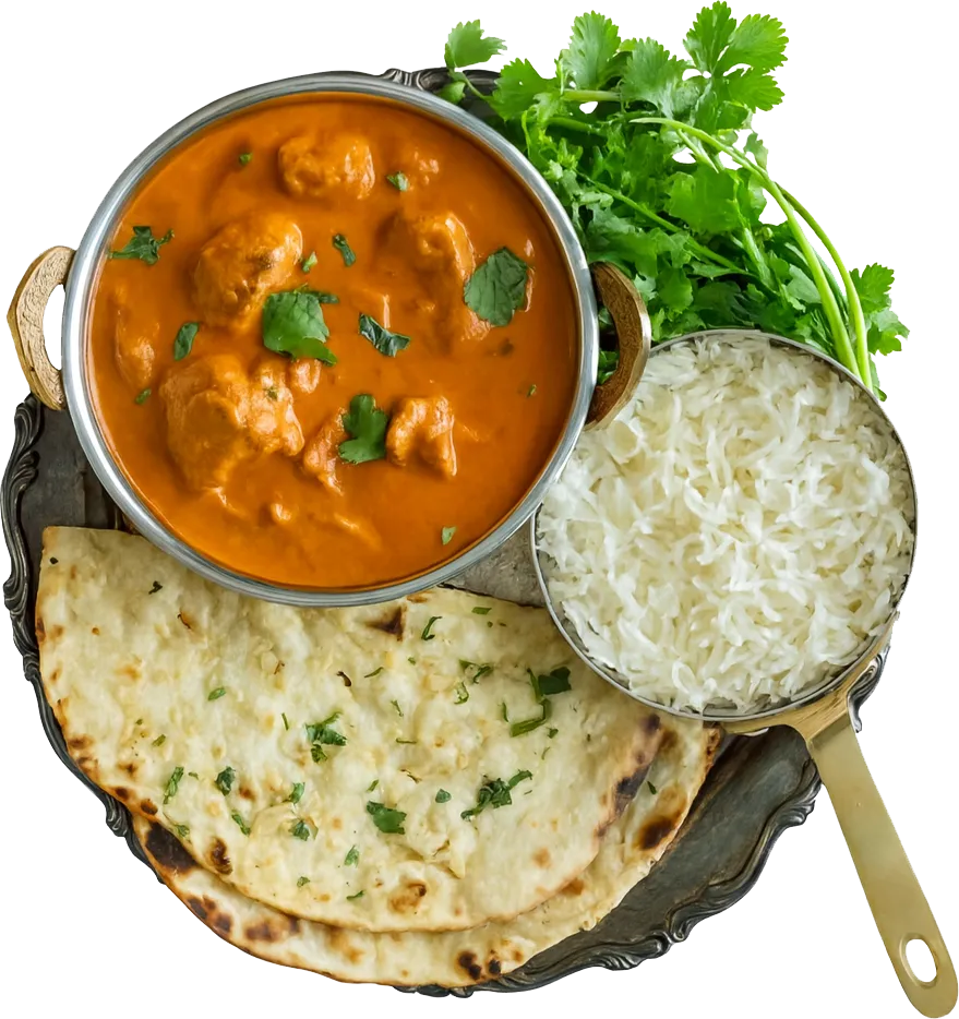 Combo rice meal